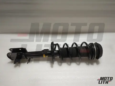 Front Suspension Strut Assembly Right