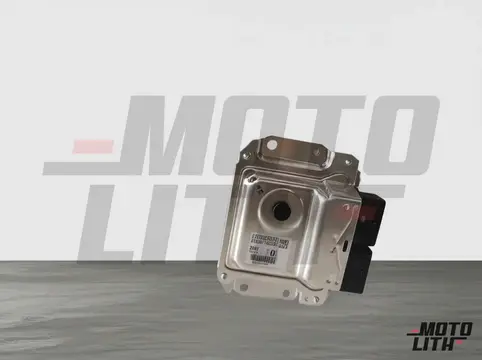CONTROLLER FUEL INJECTION