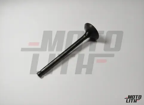 VALVE EXHAUST