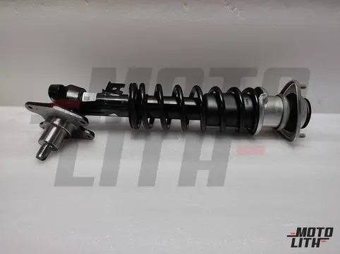 Front Suspension Strut Assembly Left