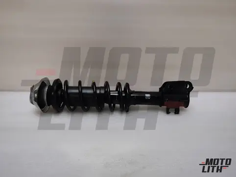 Front Suspension Strut Assembly Left