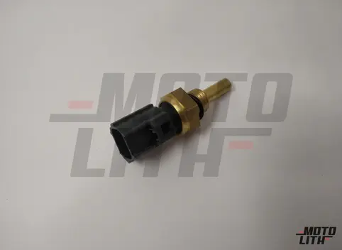 Temperature Sensor 