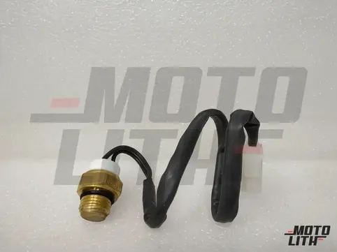 Thermostat Switch