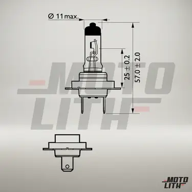 Bulb