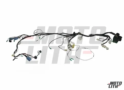 HARNESS ASSY, WIRING NO.1