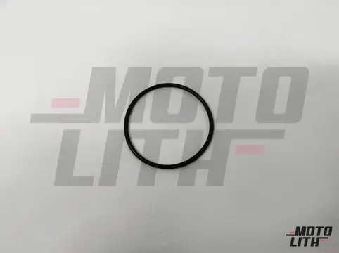 O RING BETWEEN BOOSTER TMC