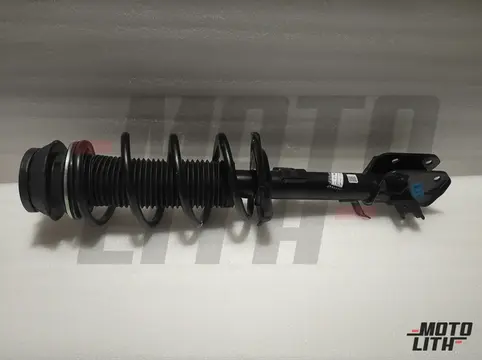 Front Suspension Strut Assembly Left