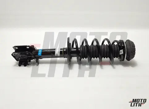 Front Suspension Strut Assembly Right