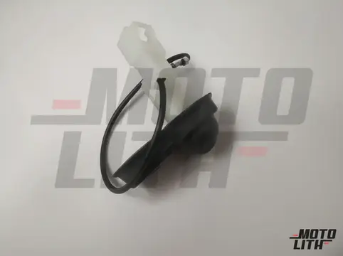 Door Light Switch