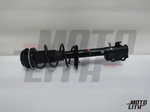 Front Suspension Strut Assembly Right
