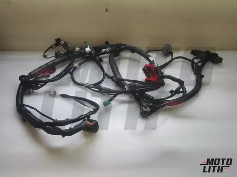 HARNESS ASSY ENGINE