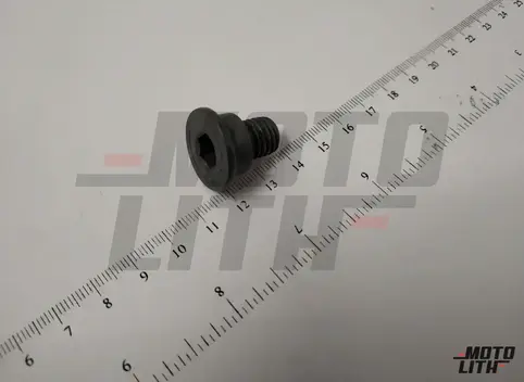 Inner hex bolt