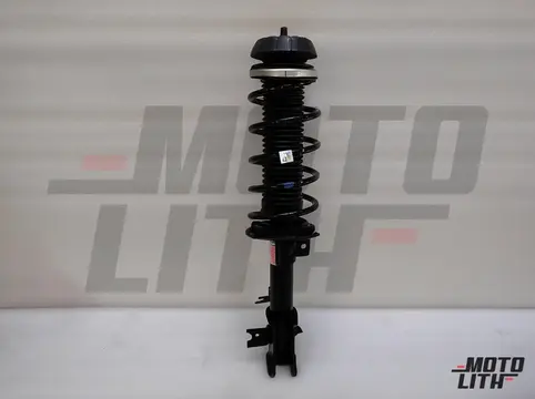 STRUT SETFR SUSPENSIONL