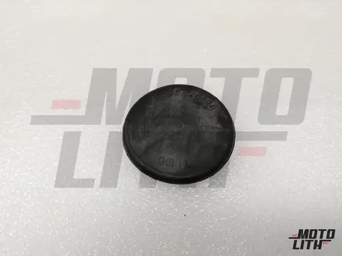 PLUG-BUTTON