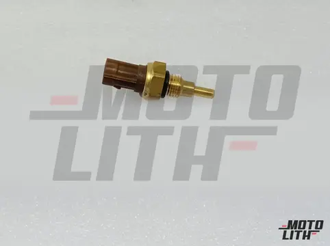 Temperature Sensor
