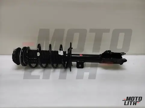 Front Suspension Strut Assembly Left