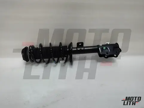 Front Suspension Strut Assembly Right