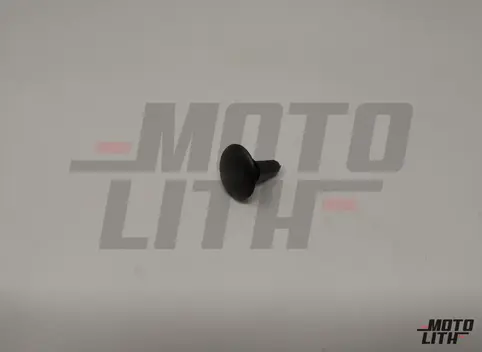 CLIP