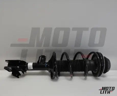 Front Suspension Strut Assembly Right