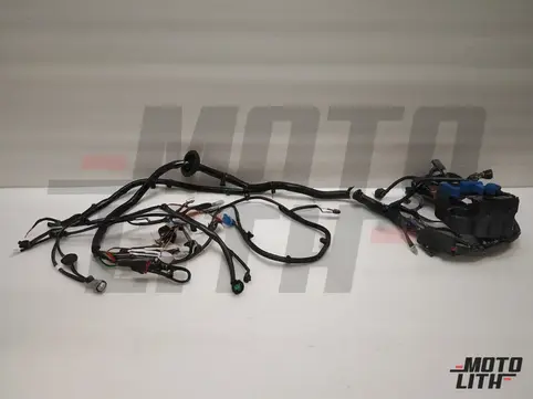 HARNESS SETMAIN