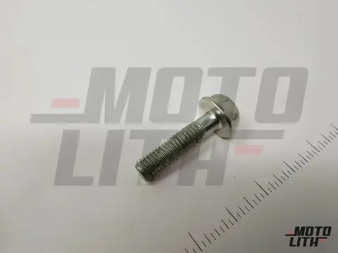 BOLT, FLANGE, 6X25