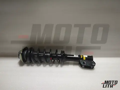 Front Suspension Strut Assembly Left