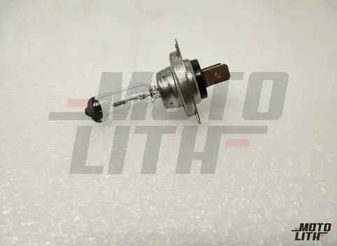 H7 Halogen Bulb 12V 100W (Single Bulb)