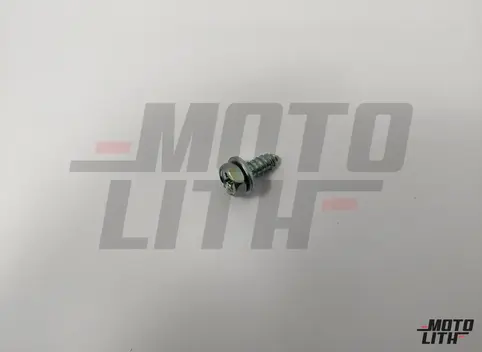 SCREW-TAPPING, W/WASHER