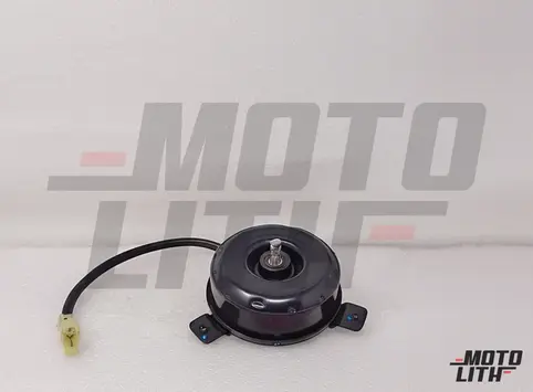 Radiator Fan Motor