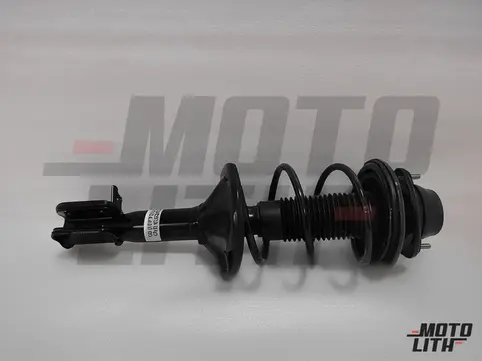 ASSY REAR STRUT COMP LH (M/S HYDRAULICS)