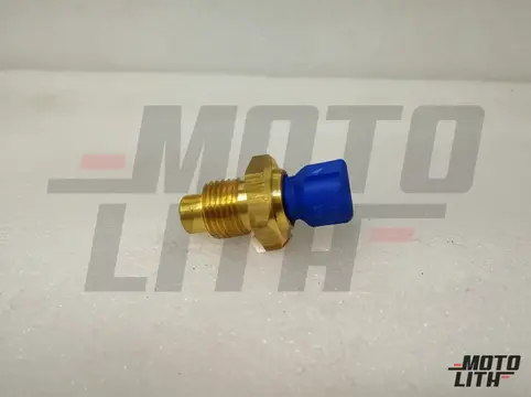 Temperature Sensor
