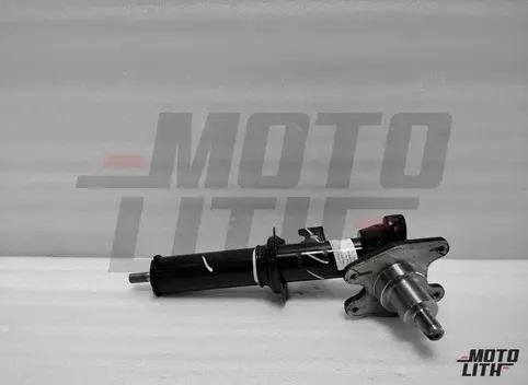 STRUT ASSYFR SUSPENSION R/L