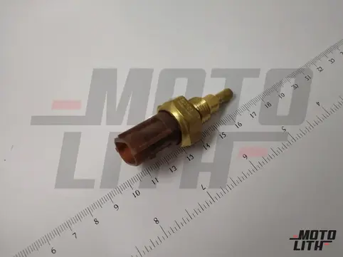 Temperature Sensor 