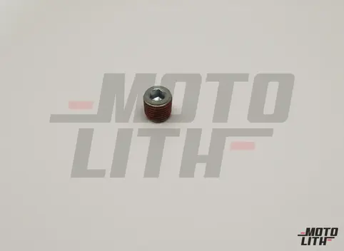 PLUG,CYL HEAD M12