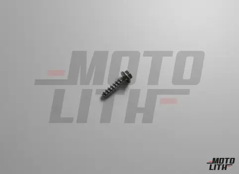 hexagon head panel screw