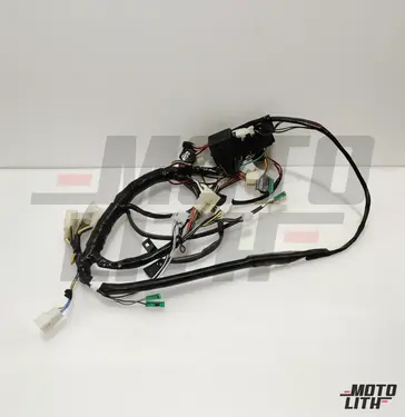 HARNESS ASSYWRG.NO.1 (MPI)