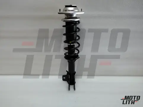 Front Suspension Strut Assembly Left