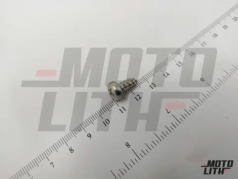 SCREW INSTRUMENT PANEL