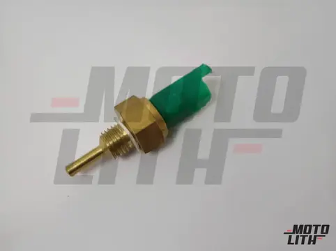 Temperature Sensor 