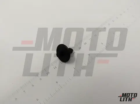 CLIP