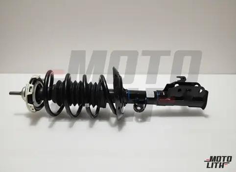 Front Suspension Strut Assembly Left