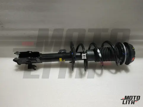 Front Suspension Strut Assembly Left