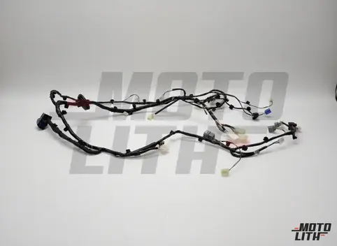 HARNESS ASSY, MAIN