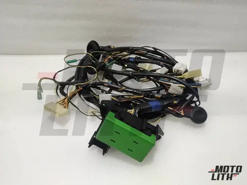 HARNESS ASSY, WIRING NO.1