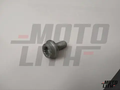 socket head collared bolt withinner multipoint head