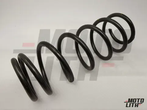 SPRINGREAR COIL