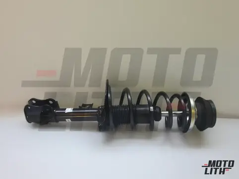 Front Suspension Strut Assembly Left