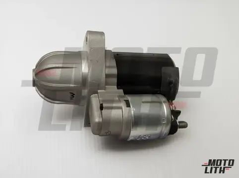 MOTOR ASSY, STARTING