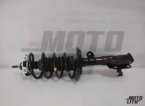 Front Suspension Strut Assembly Right