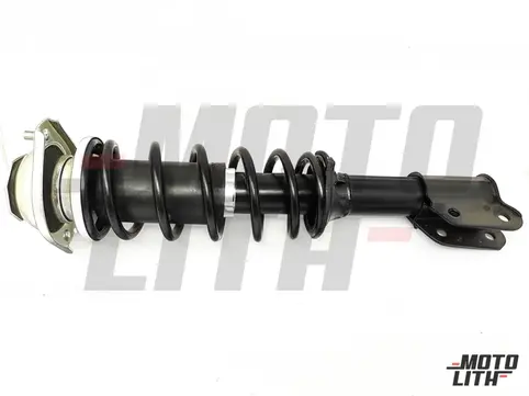 STRUT SET FR SUSP  LH